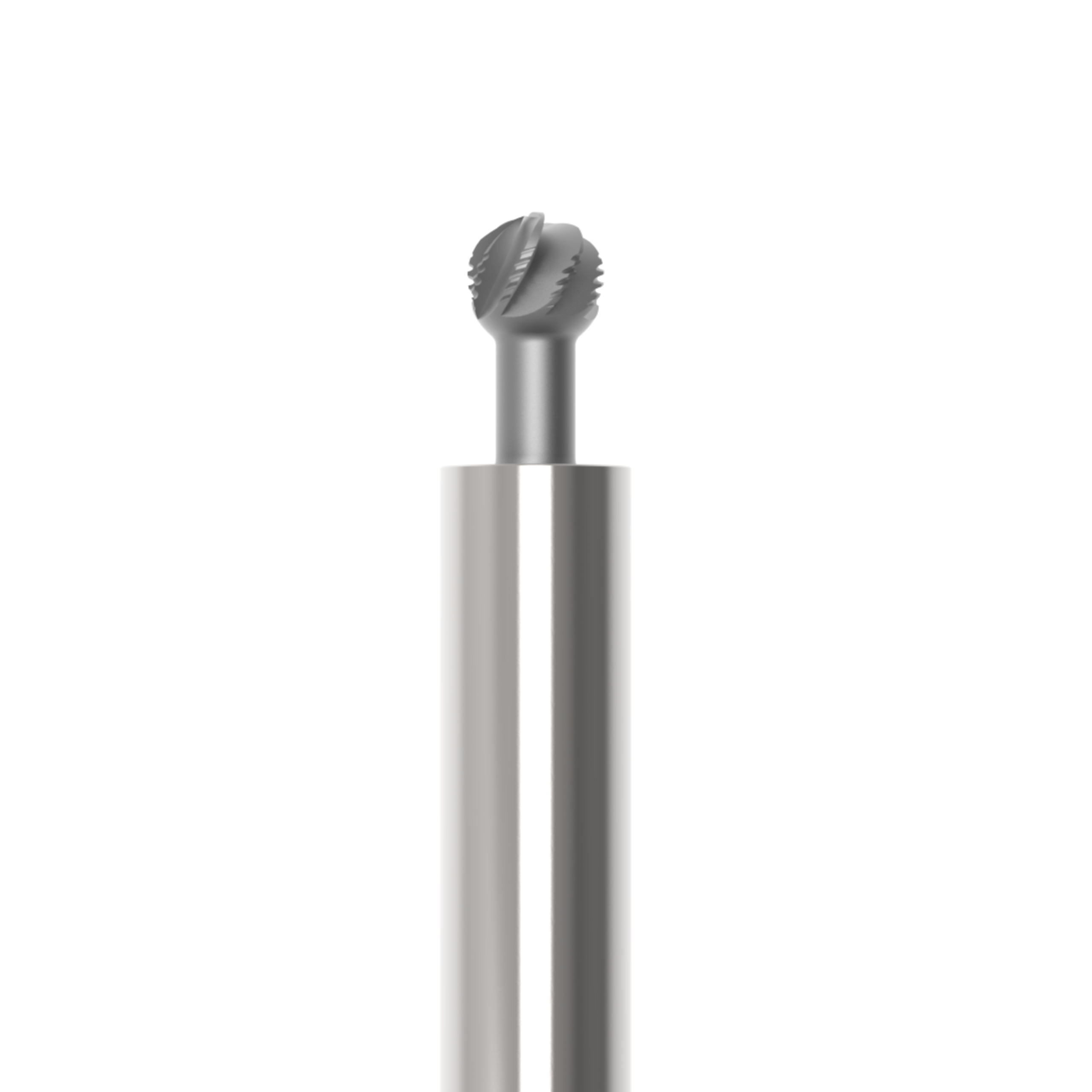 RoundBur nonprot